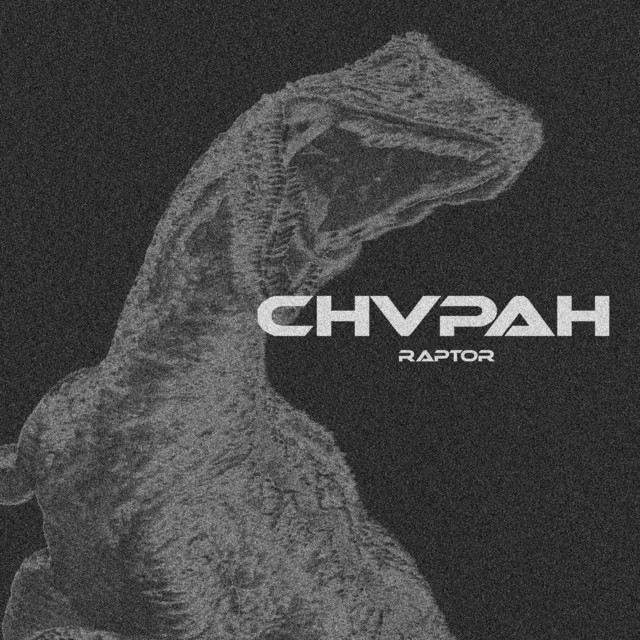 CHVPA Photo