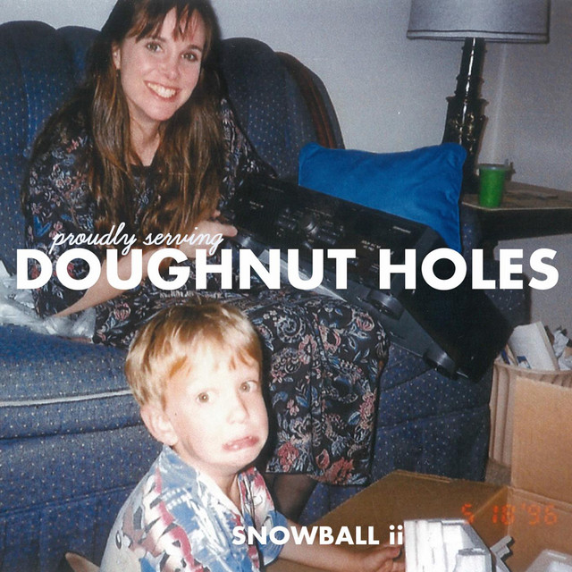Doughnut Holes cover art