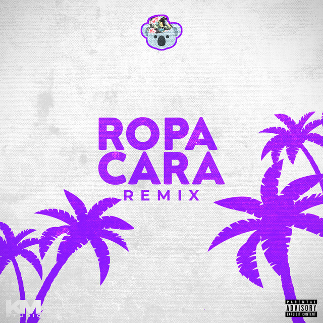 Ropa Cara (Po' Encima) - Remix