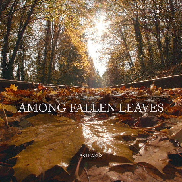 Among Fallen Leaves