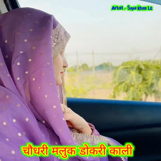 चौधरी मलुक डोकरी काली cover