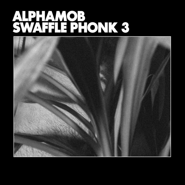Swaffle Phonk 3 cover art
