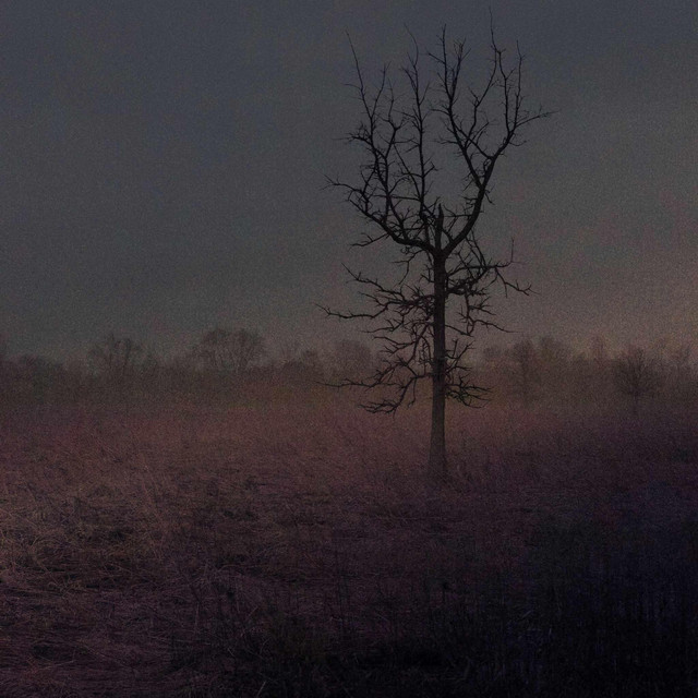 fuck you and anything you're about cover art