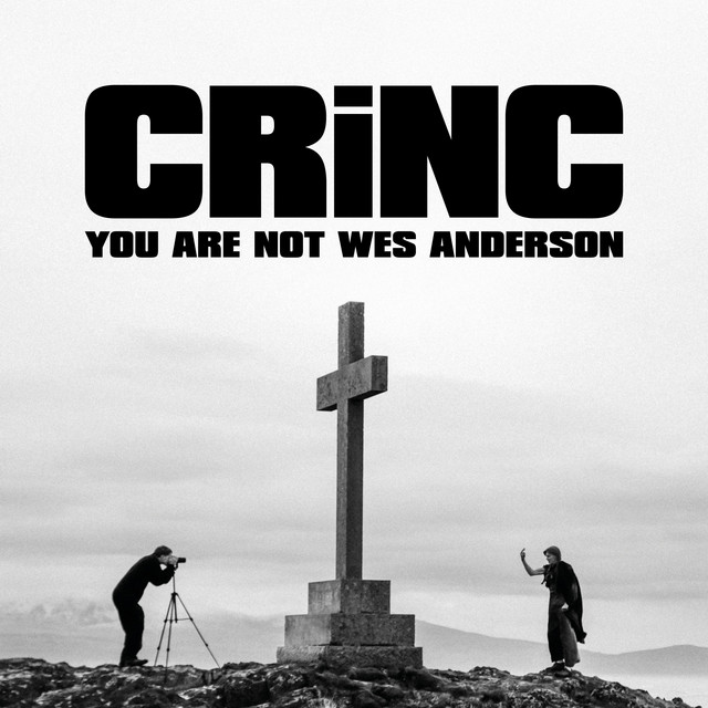 You Are Not Wes Anderson cover