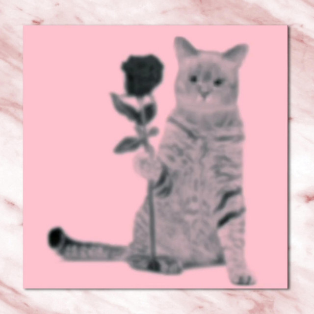 spring things cover art