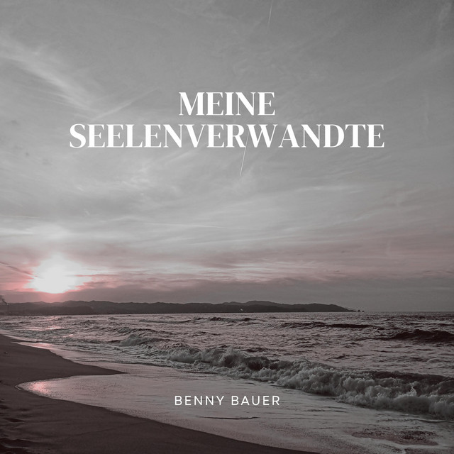Meine Seelenverwandte cover