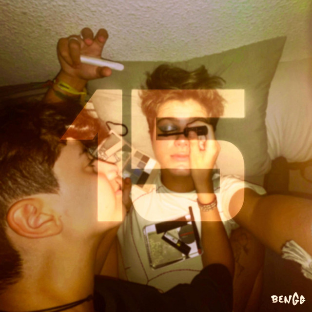 15 cover art