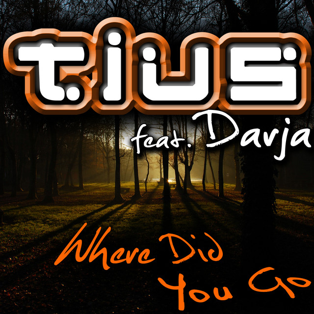 Where Did You Go (Original Radio Mix) cover art