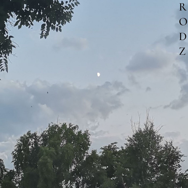 Cover art: Сны — Rodz