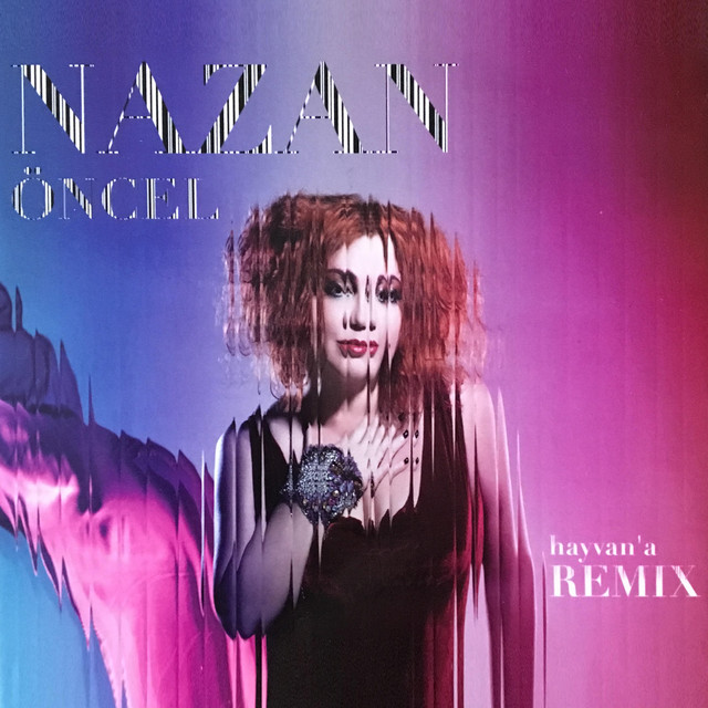 Hayvan'a Remix cover art