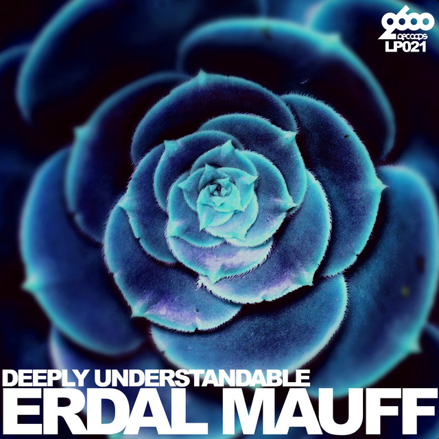 Deeply Understandable cover art