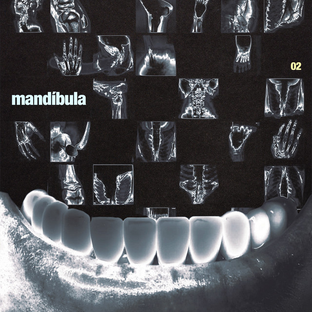 Mandíbula