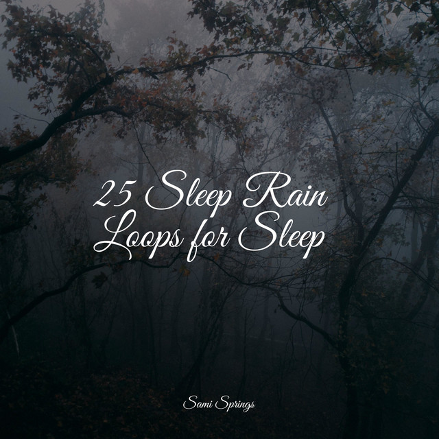 25 Sleep Rain Loops for Sleep - Album by The Relaxing Sounds of Water ...