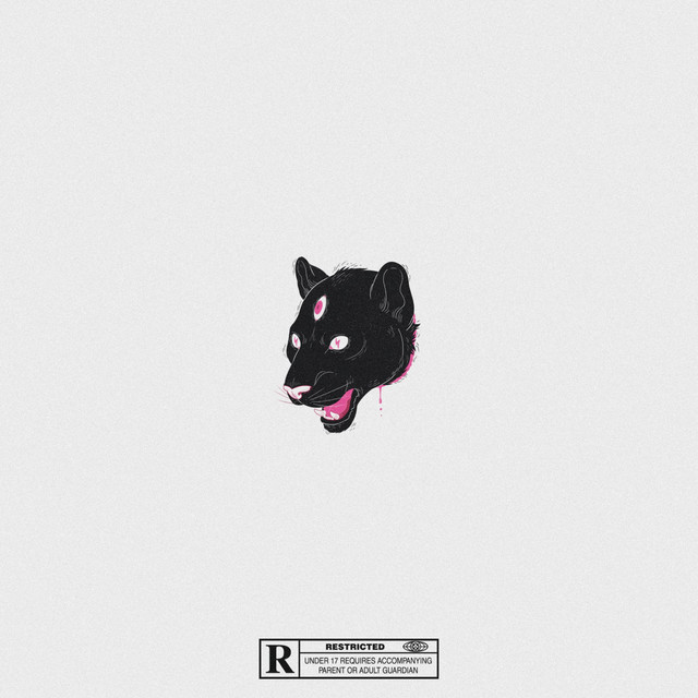 Safe cover art