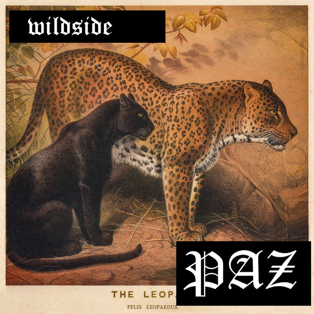 Wildside cover art