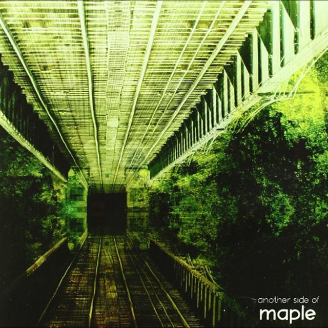 Another side of cover art