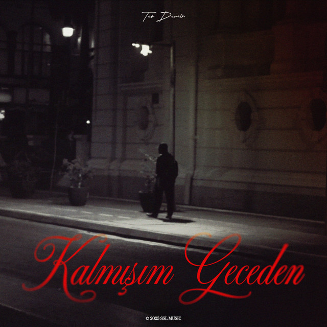 Teo Demir – Kalmışım Geceden