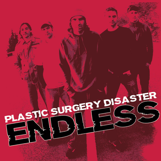 Endless cover