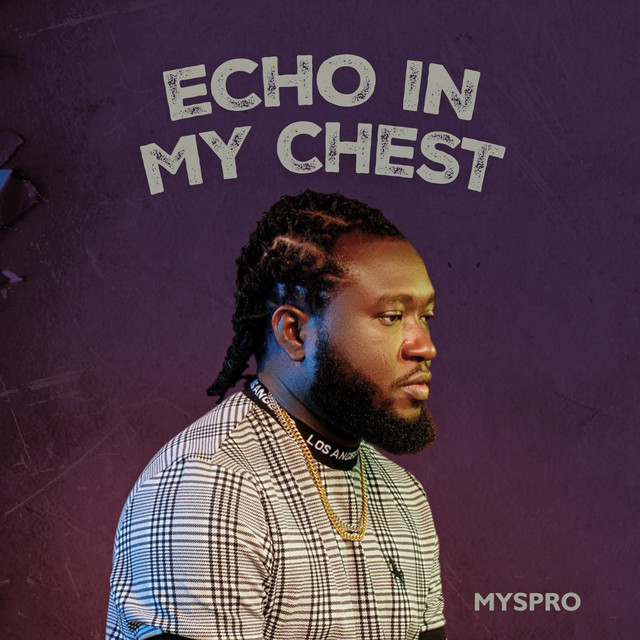 Echo in My Chest - Live