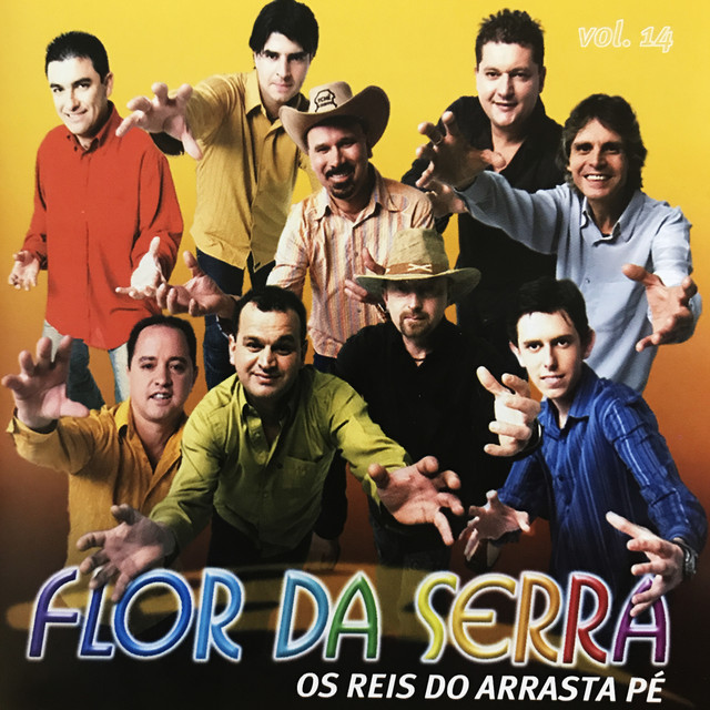Vai Pegar