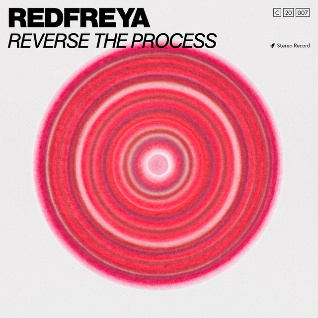 Reverse The Process cover art