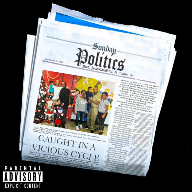 Politics - Single by Mr. White Dogg | Spotify