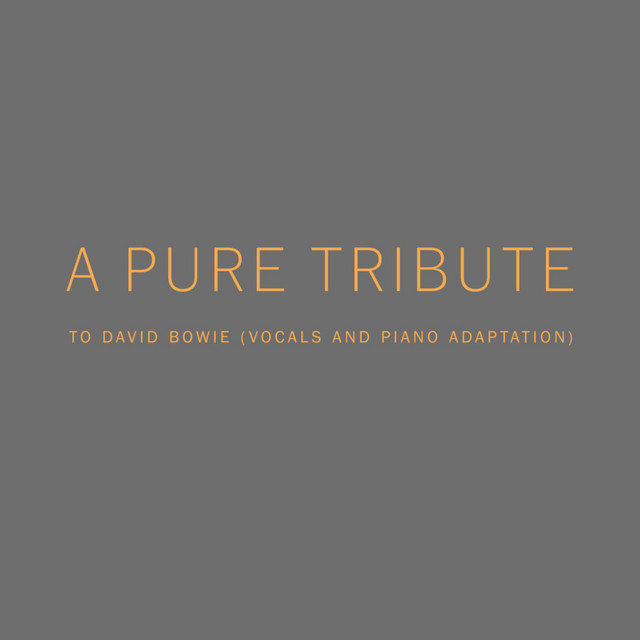 A Pure Tribute to David Bowie (Vocals and Piano Adaptation) cover art