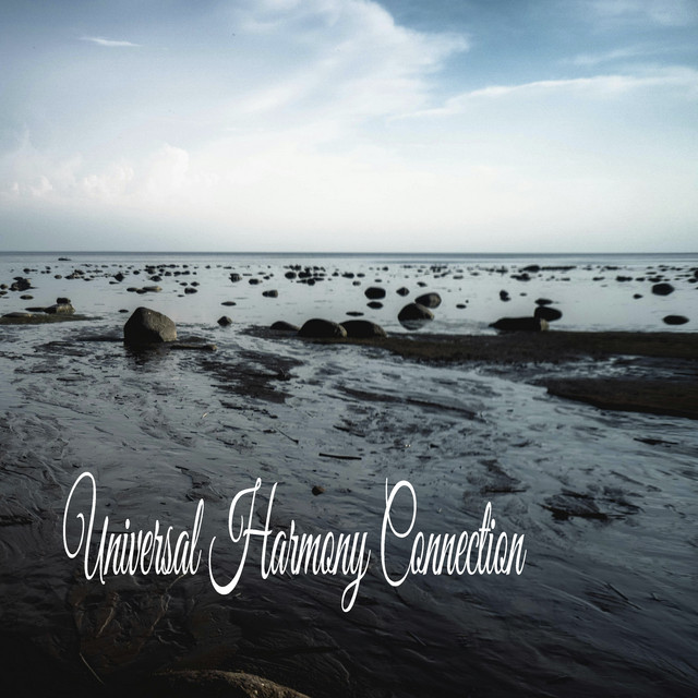 Universal Harmony Connection