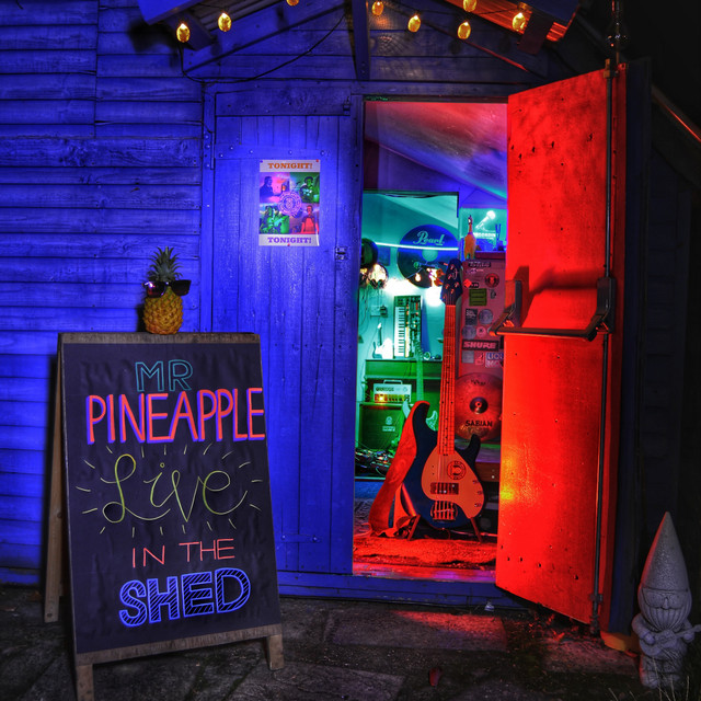 Mr Pineapple