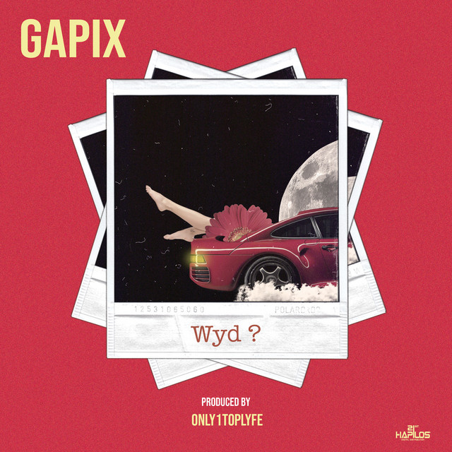 Wyd ? cover art