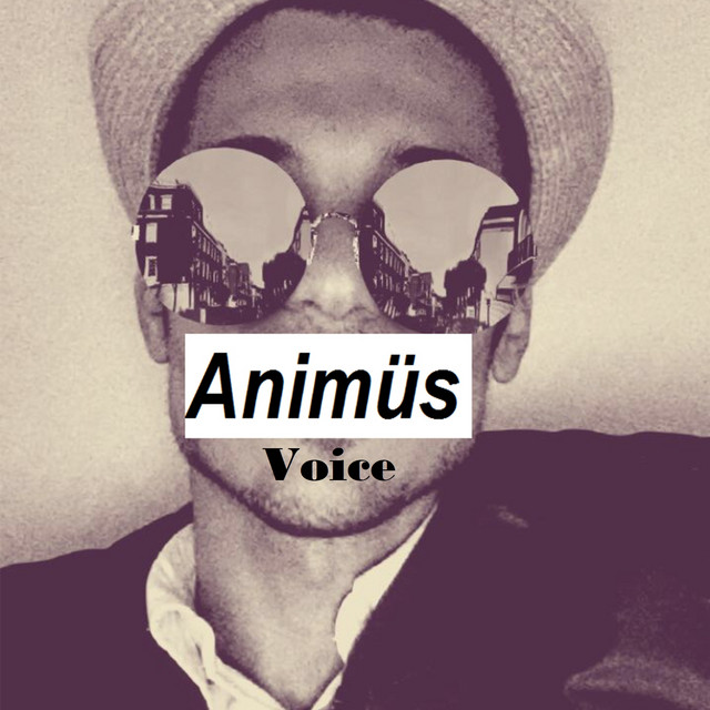 Voice - Single by Animus | Spotify