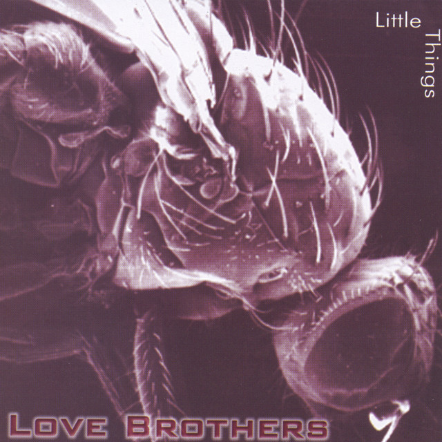 Love Brothers