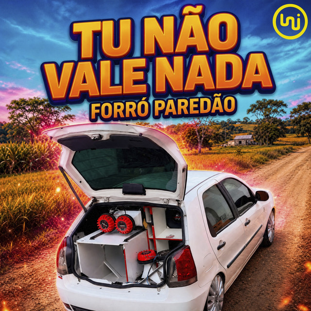 Tu Não Vale Nada Forró Paredão album image