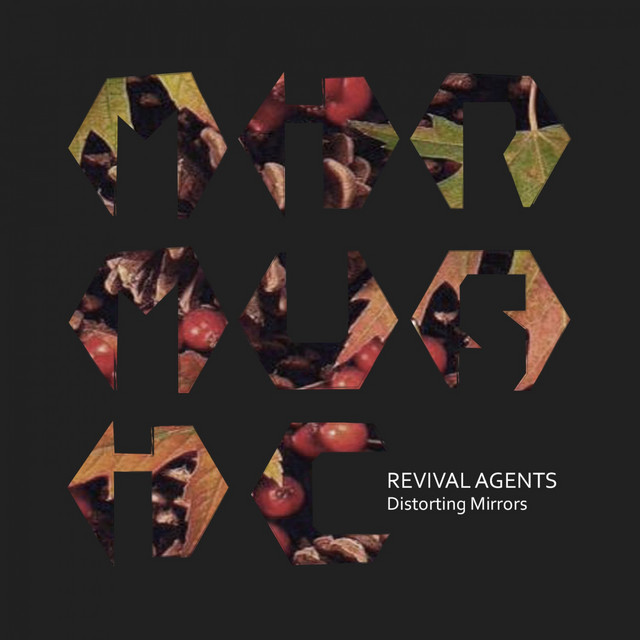Обкладинка Revival Agents — Distorting Mirrors