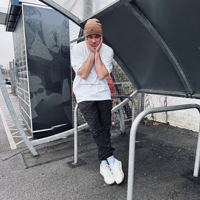 I Just Wanna Be Normal Like You cover