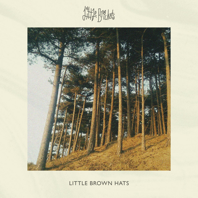 Little brown hats cover art