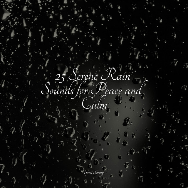 25 Serene Rain Sounds for Peace and Calm - Album by Rain Sounds Nature ...