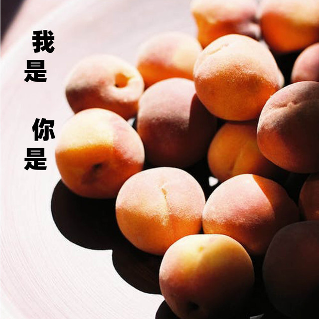 陳緣 人物 陈缘| Spotify