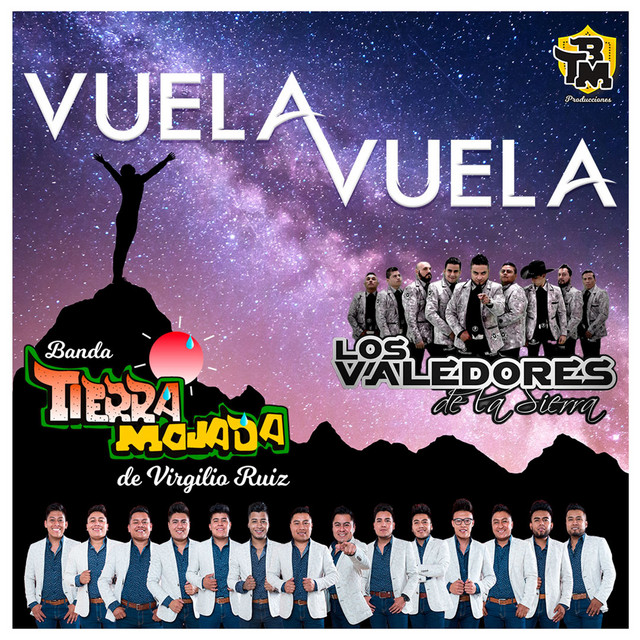 Vuela, vuela