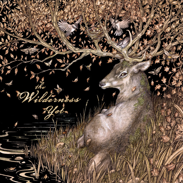 The Wilderness Yet cover art