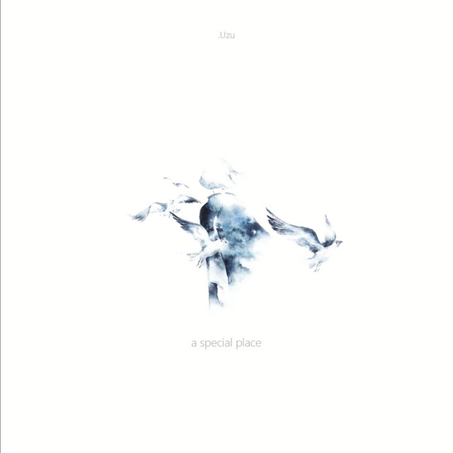 a special place cover art