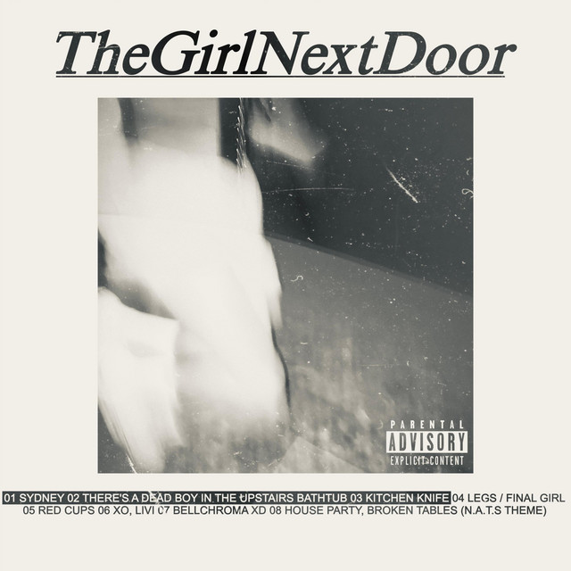 N.A.T.S. Hidden Files: The Girl Next Door - Concept Album cover art