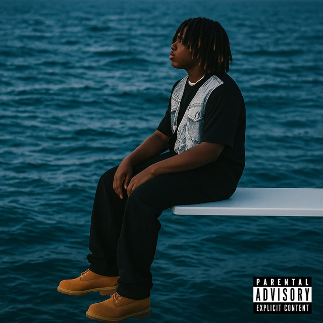 D1 cover art