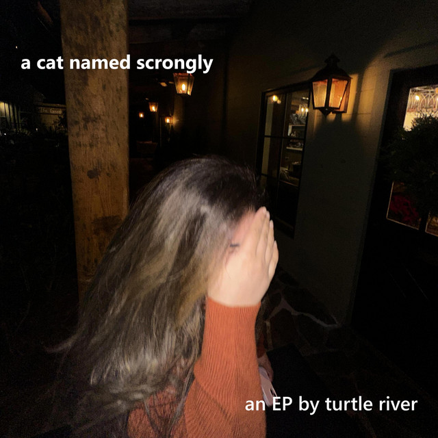 a cat named scrongly cover art