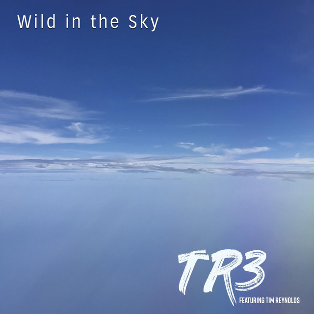 Wild in the Sky cover art