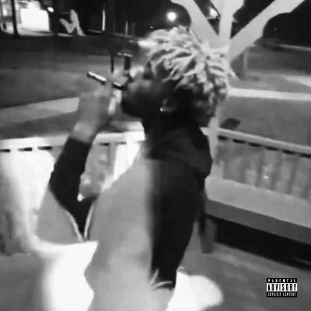 Flaw cover art