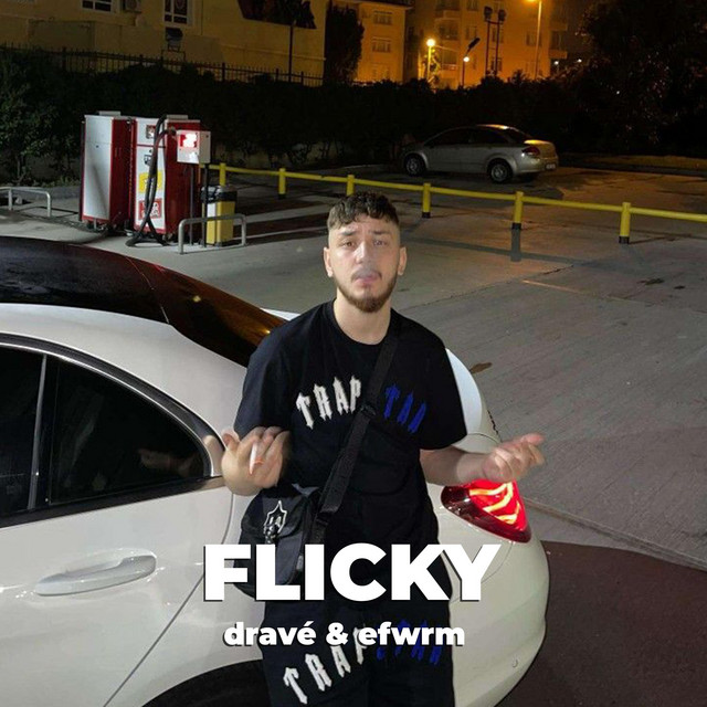 FLICKY cover art