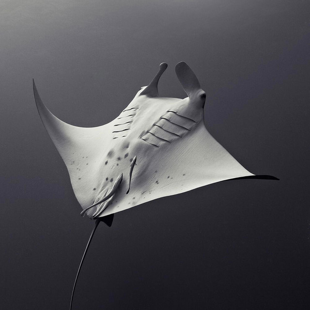 Float cover art