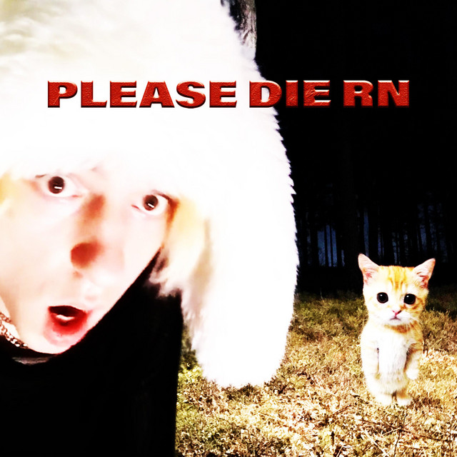 PLEASE DIE RN cover art
