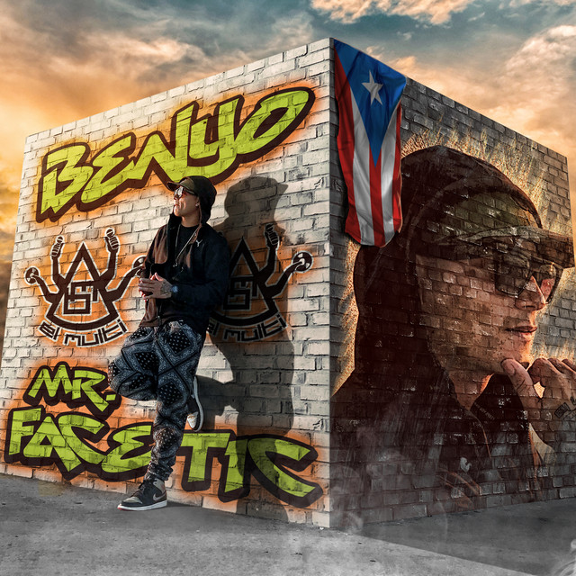 Mr. Facetic cover art